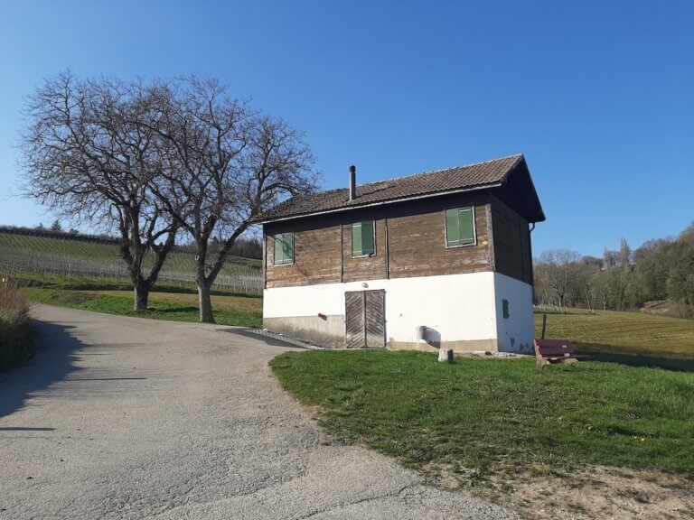 20210403 172134 768x576