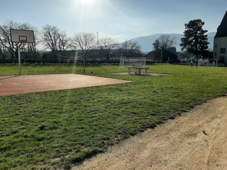 20210403 175146 768x576