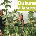 Un nouveau self de légumes à Mathod