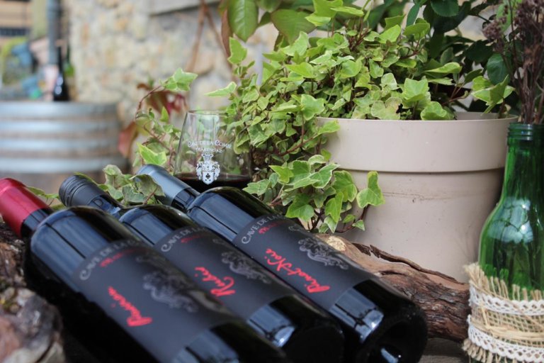 IMG 20200506 WA0023 768x512