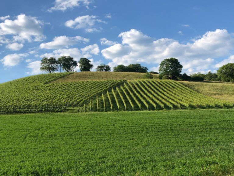 IMG 20200615 WA0025 768x576